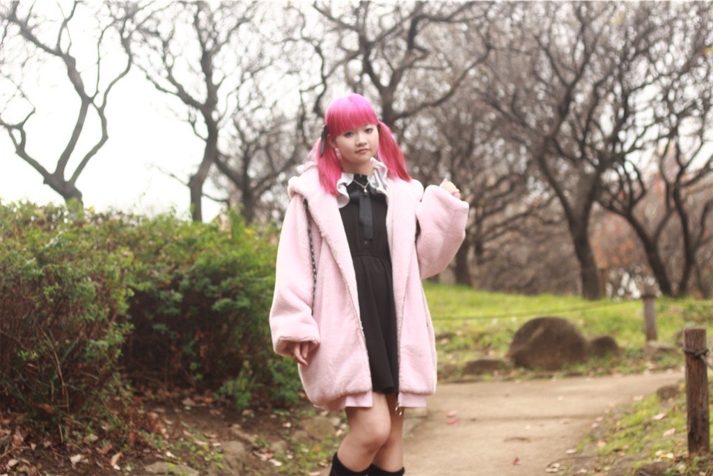 f:id:Alprazolaminc:20201231121319j:image