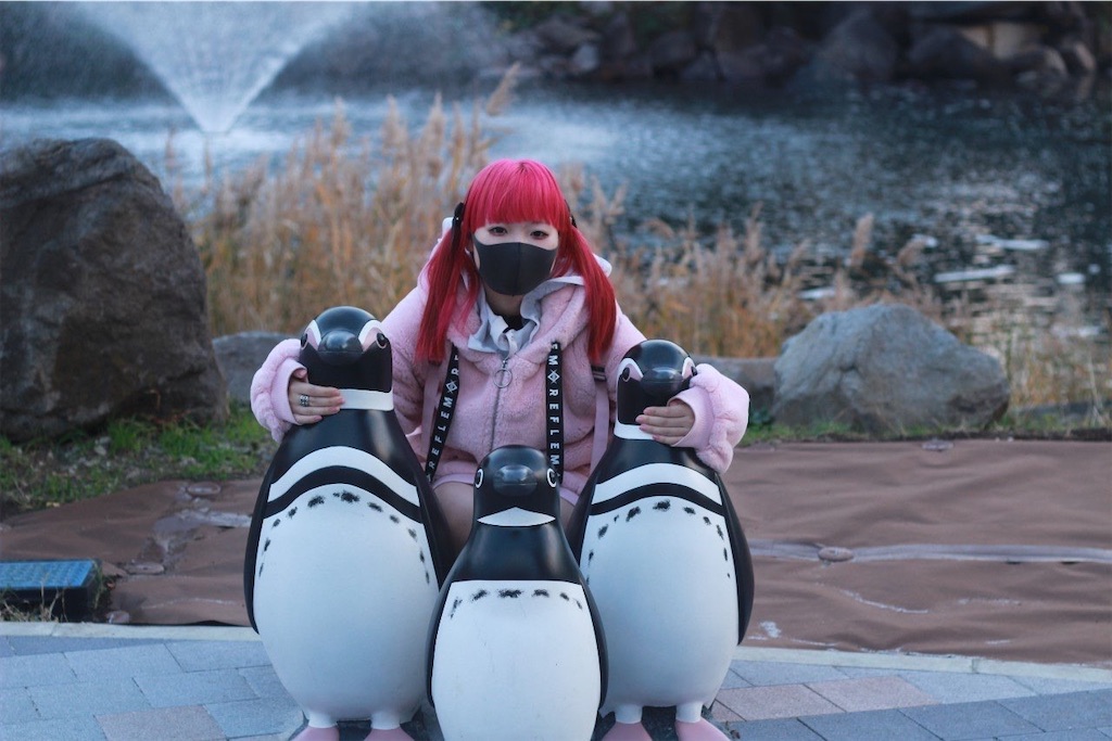 f:id:Alprazolaminc:20201231121336j:image