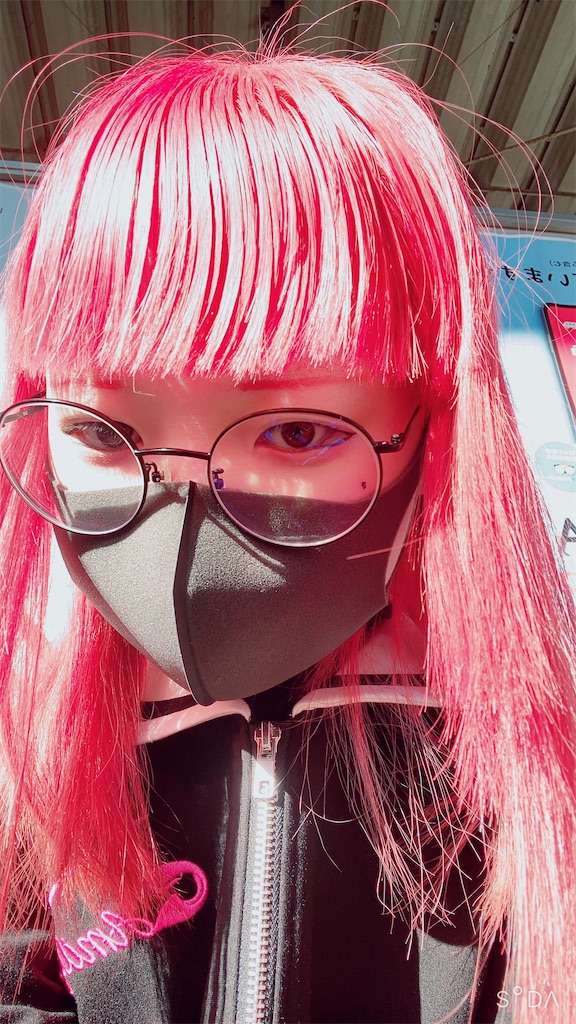 f:id:Alprazolaminc:20201231121359j:image