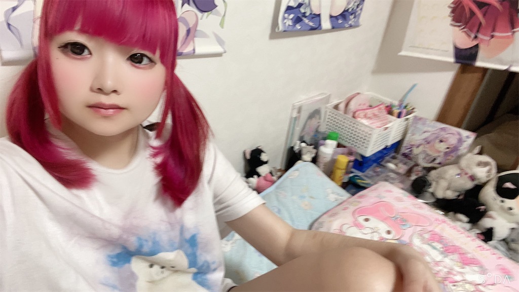 f:id:Alprazolaminc:20201231121404j:image