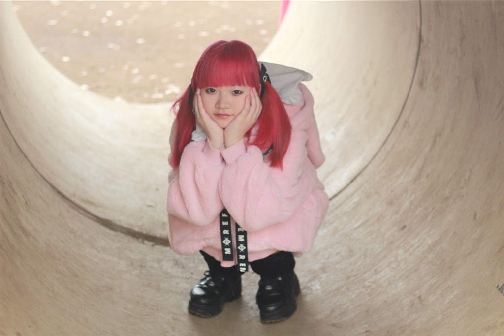 f:id:Alprazolaminc:20201231121409j:image