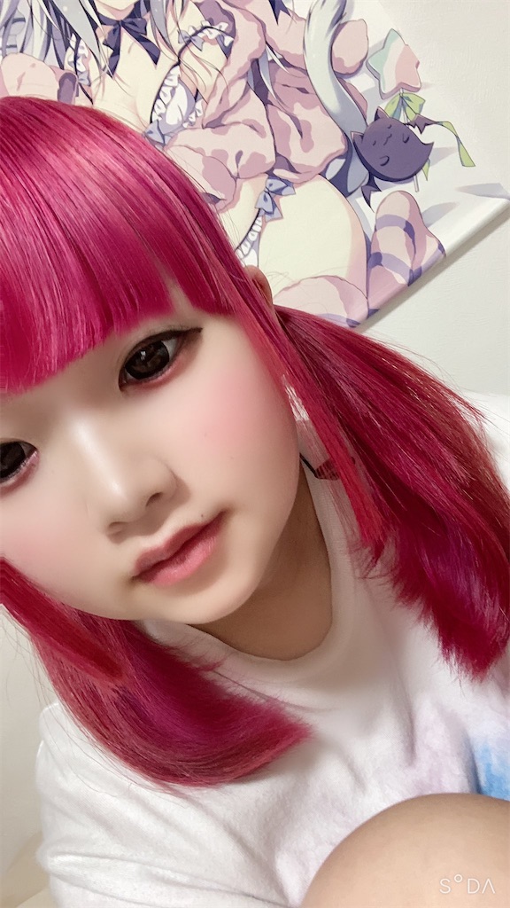 f:id:Alprazolaminc:20201231121629j:image