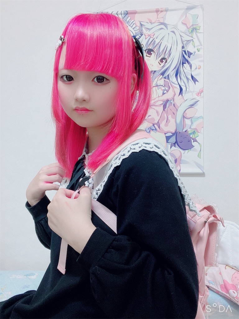 f:id:Alprazolaminc:20201231121643j:image