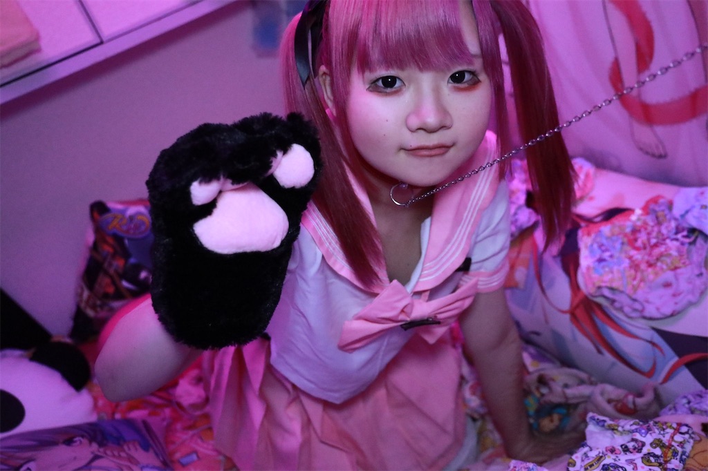 f:id:Alprazolaminc:20210216073705j:image