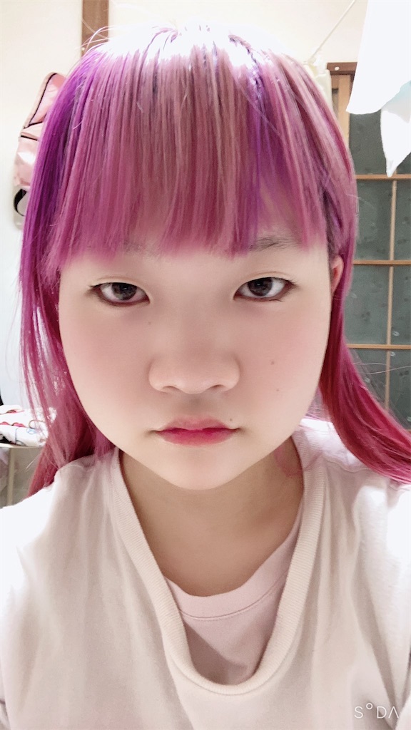 f:id:Alprazolaminc:20210216073726j:image