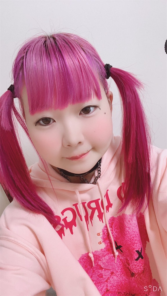 f:id:Alprazolaminc:20210216073730j:image