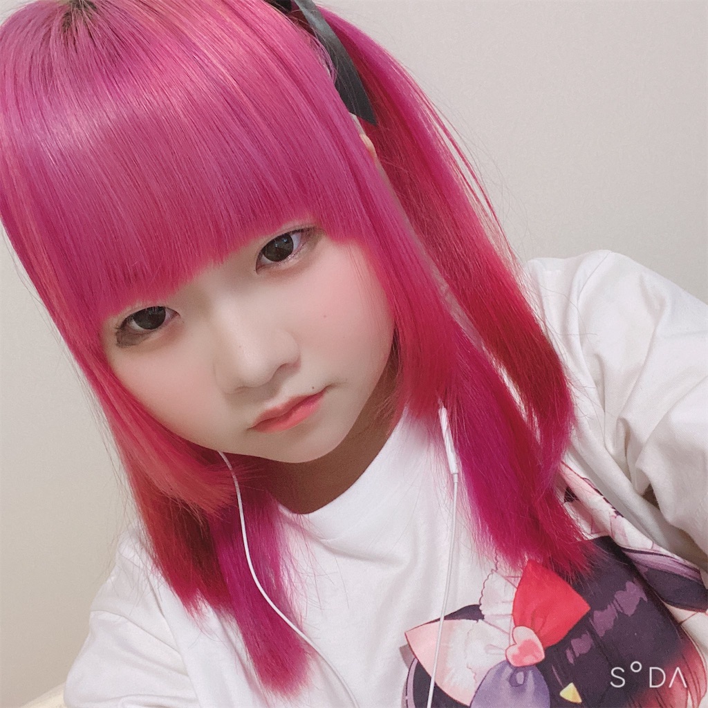 f:id:Alprazolaminc:20210216073741j:image