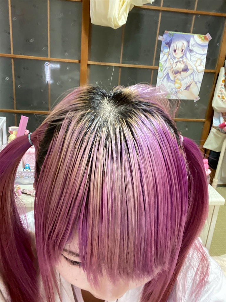 f:id:Alprazolaminc:20210216073747j:image