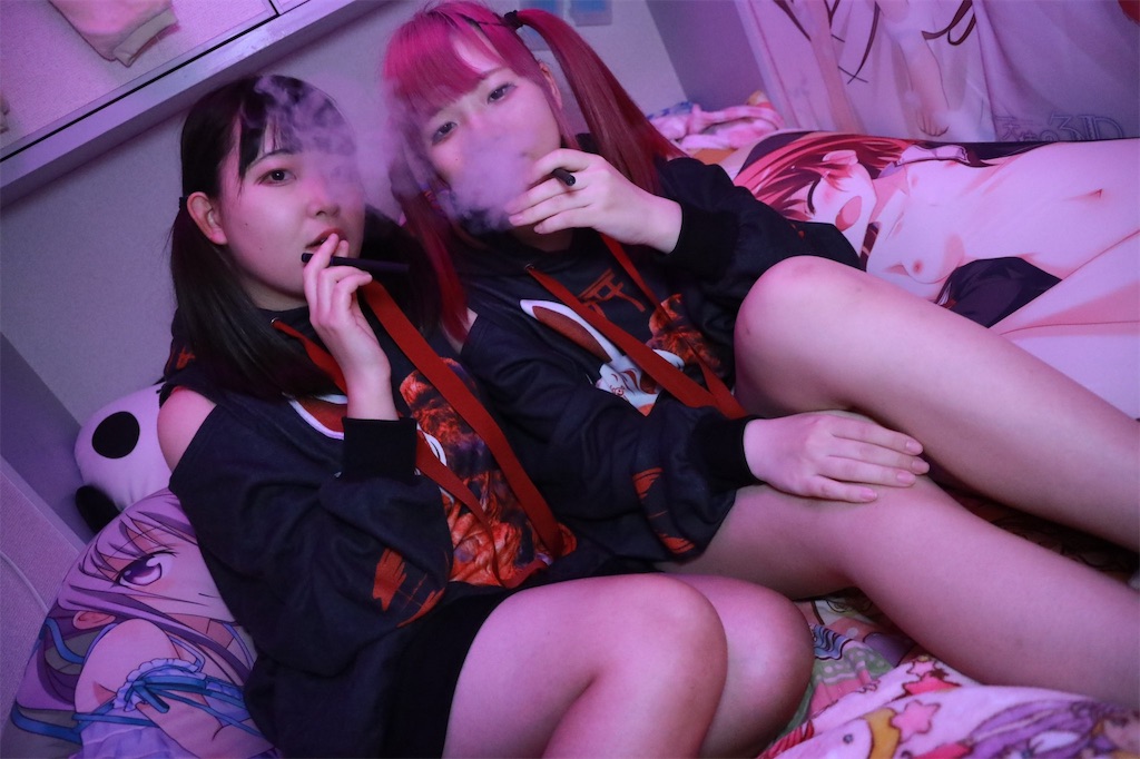 f:id:Alprazolaminc:20210216073753j:image