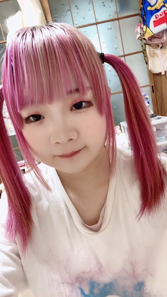 f:id:Alprazolaminc:20210216073810j:image