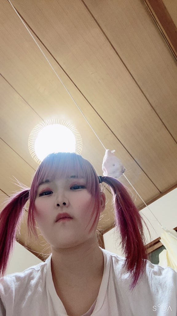 f:id:Alprazolaminc:20210216073830j:image