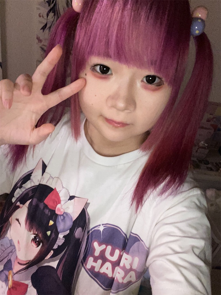 f:id:Alprazolaminc:20210216073925j:image