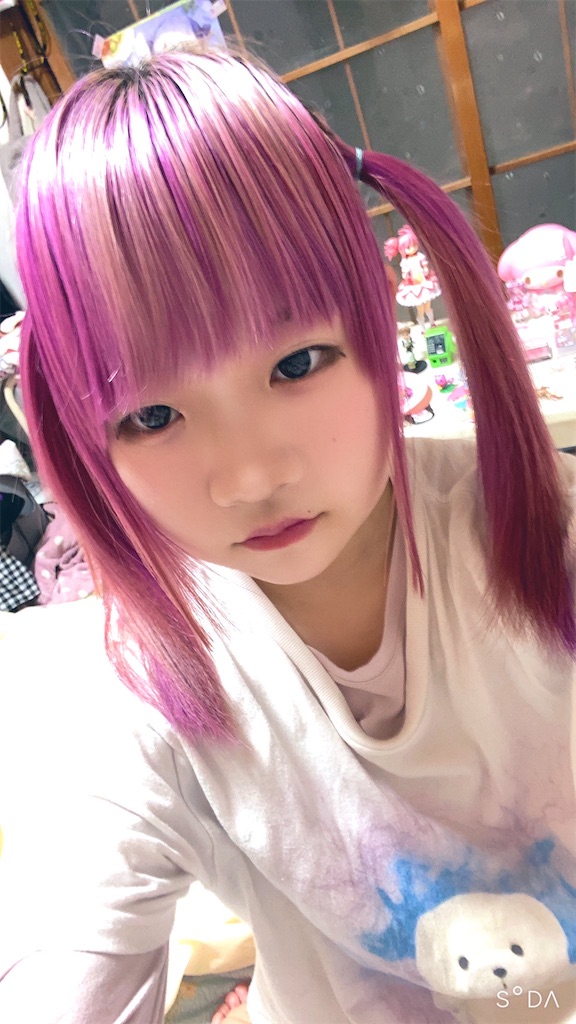 f:id:Alprazolaminc:20210216073948j:image