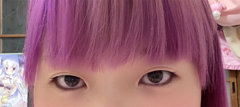 f:id:Alprazolaminc:20210216073953j:image