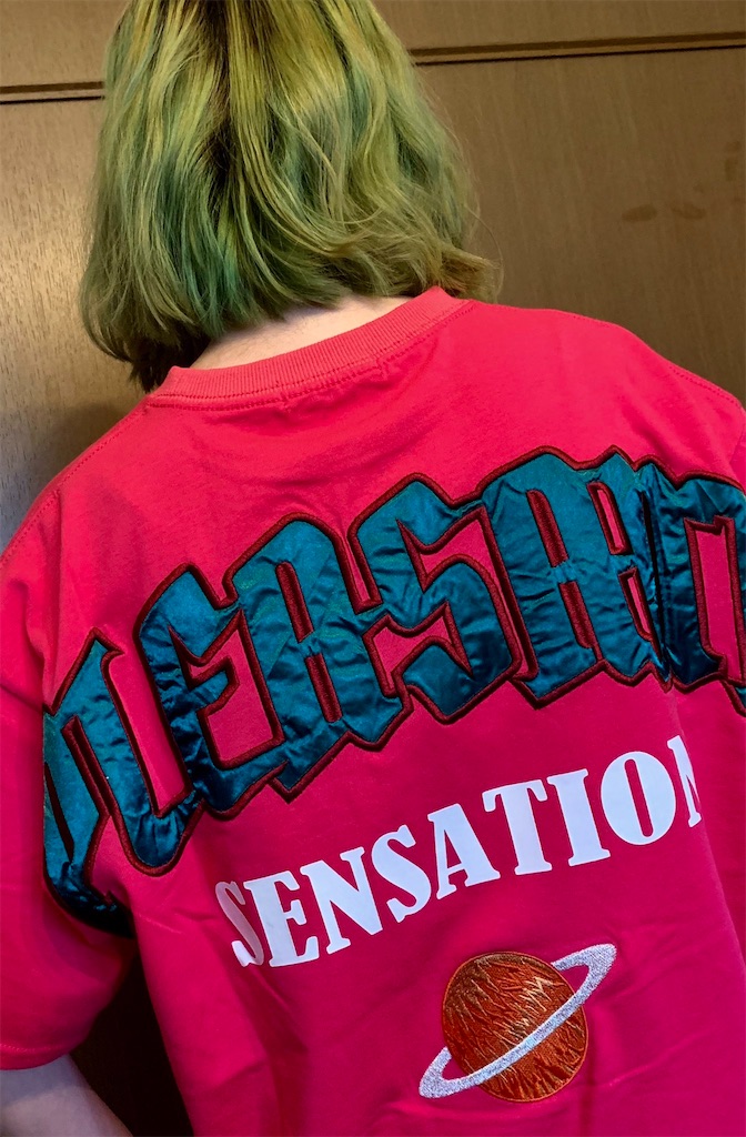 f:id:Alprazolaminc:20210423234159j:image