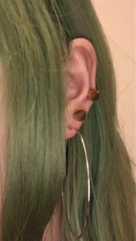 f:id:Alprazolaminc:20210423234220j:image