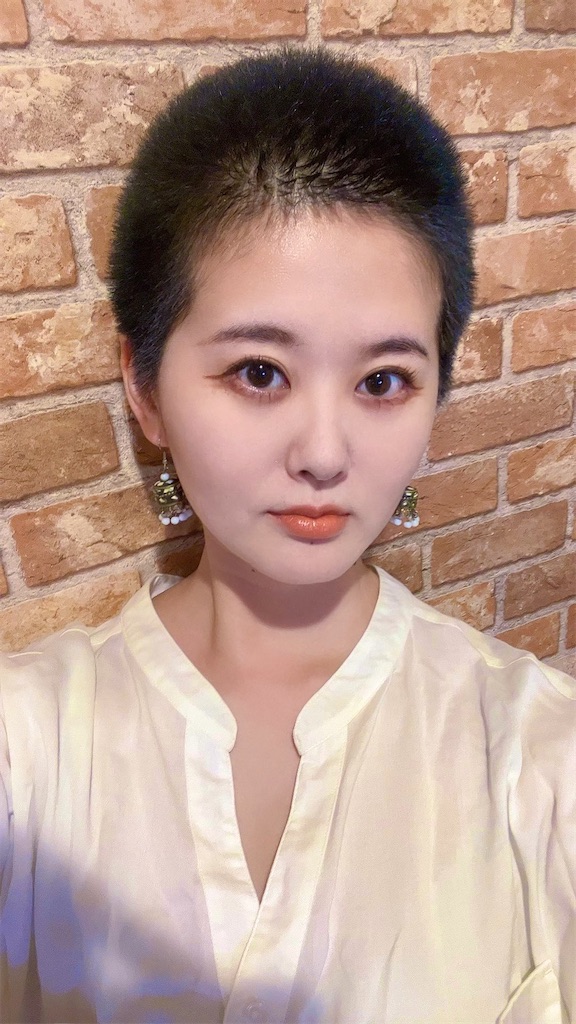 f:id:Alprazolaminc:20221015103700j:image