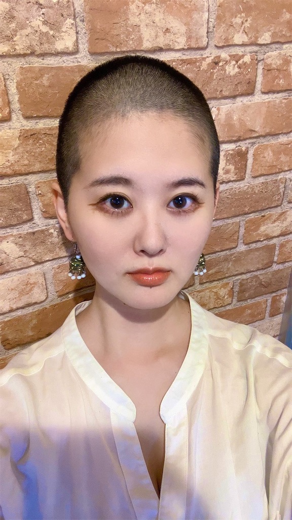 f:id:Alprazolaminc:20221015103704j:image