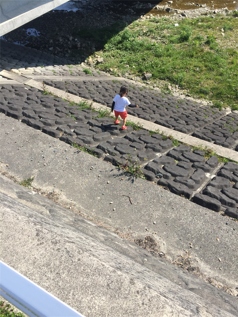 f:id:Alstroemeria:20170328223858p:image f:id:Alstroemeria:20170328223858p:image