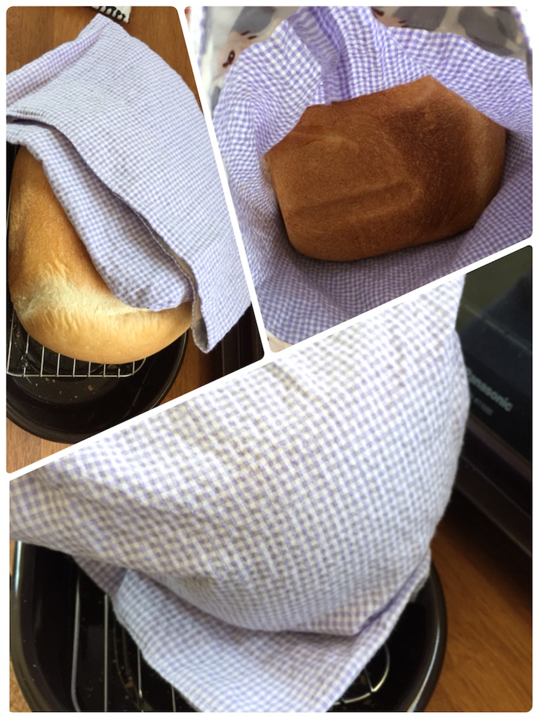 f:id:Alstroemeria:20170521102047j:image