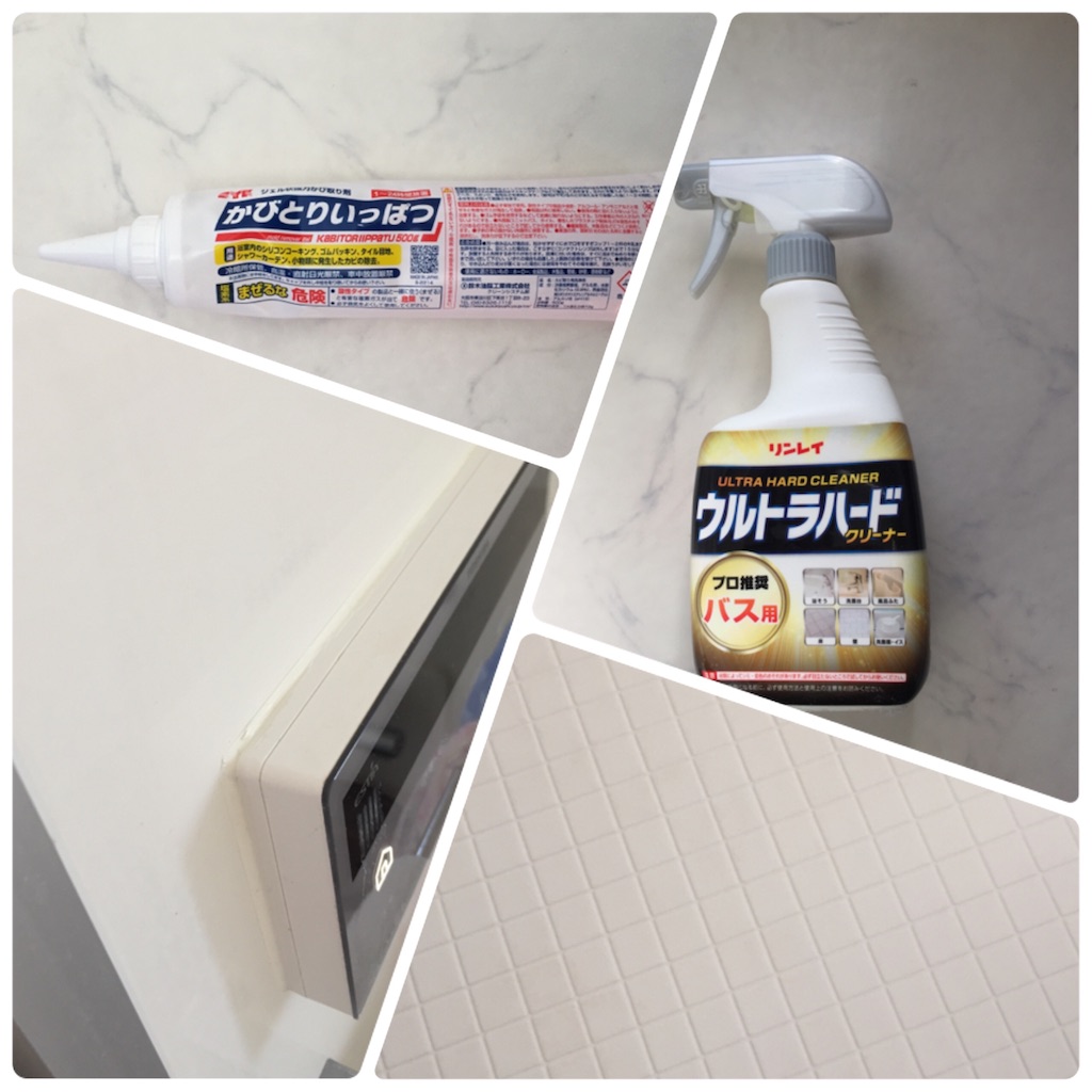 f:id:Alstroemeria:20180115183229j:image