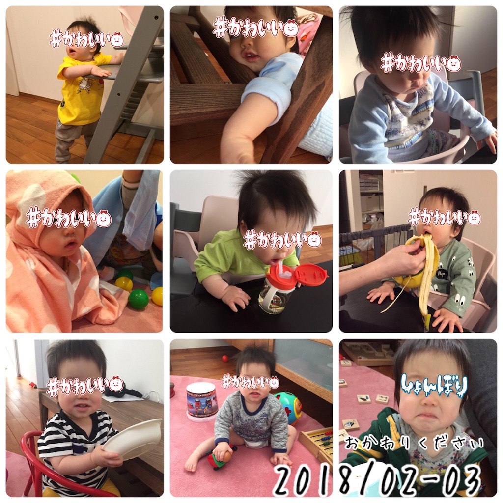 f:id:Alstroemeria:20180324005314j:image f:id:Alstroemeria:20180324005314j:image