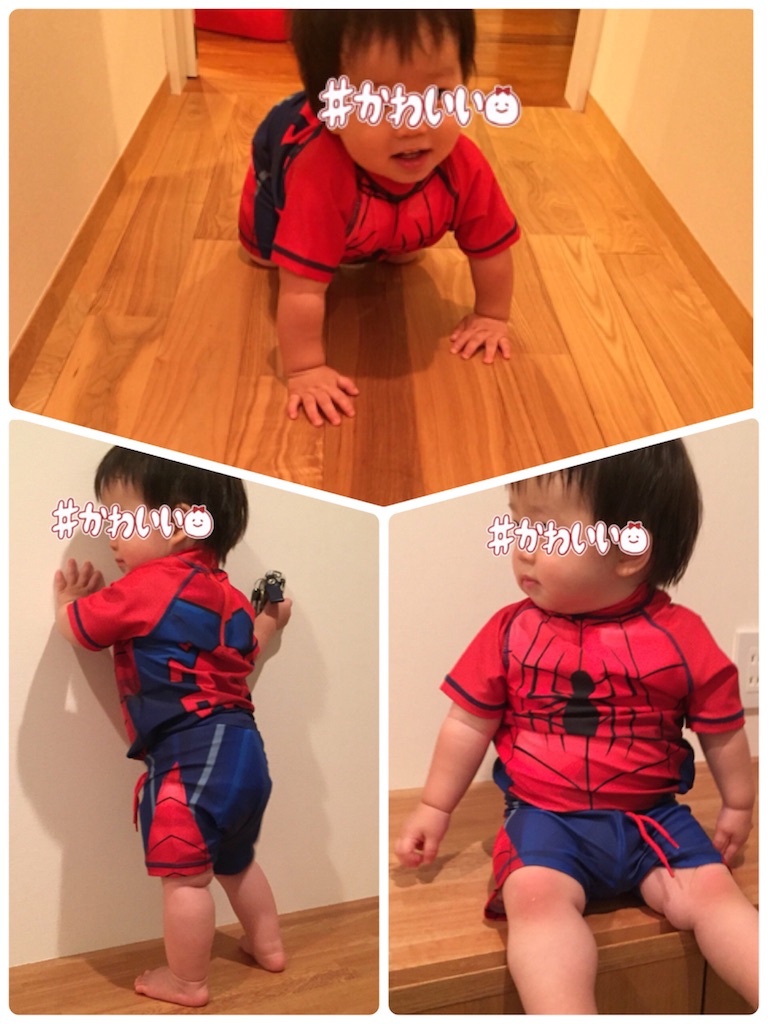 f:id:Alstroemeria:20180607220621j:image f:id:Alstroemeria:20180607220621j:image