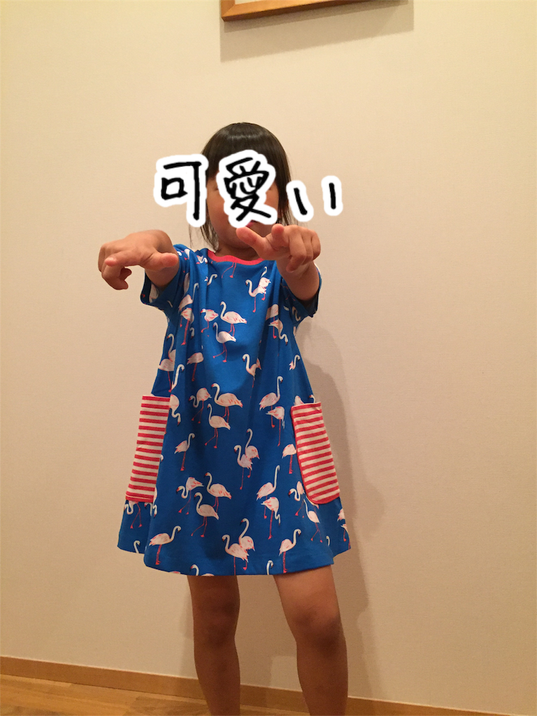 f:id:Alstroemeria:20180607220654p:image f:id:Alstroemeria:20180607220654p:image