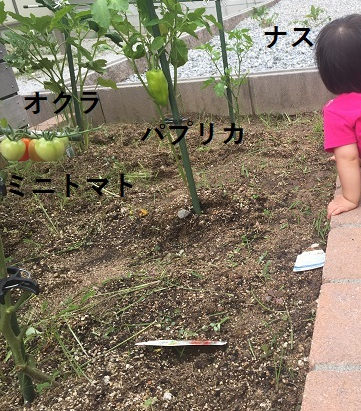 f:id:Alstroemeria:20180709223710p:plain f:id:Alstroemeria:20180709223710p:plain
