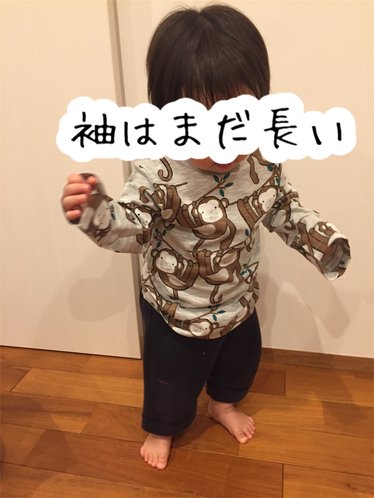 f:id:Alstroemeria:20180806213933p:plain