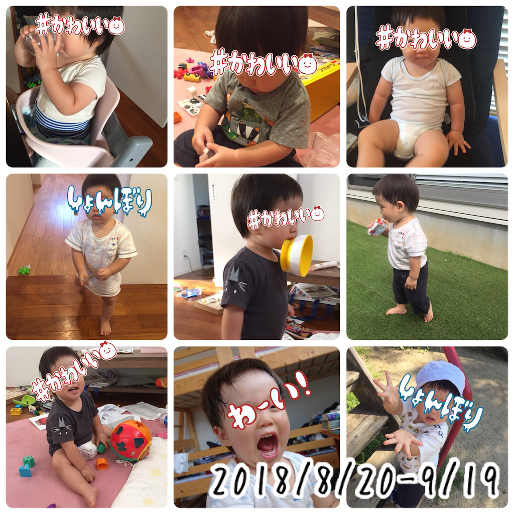 f:id:Alstroemeria:20180920211708p:image f:id:Alstroemeria:20180920211708p:image