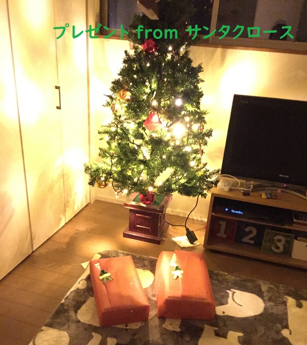 f:id:Alstroemeria:20181225205344j:plain