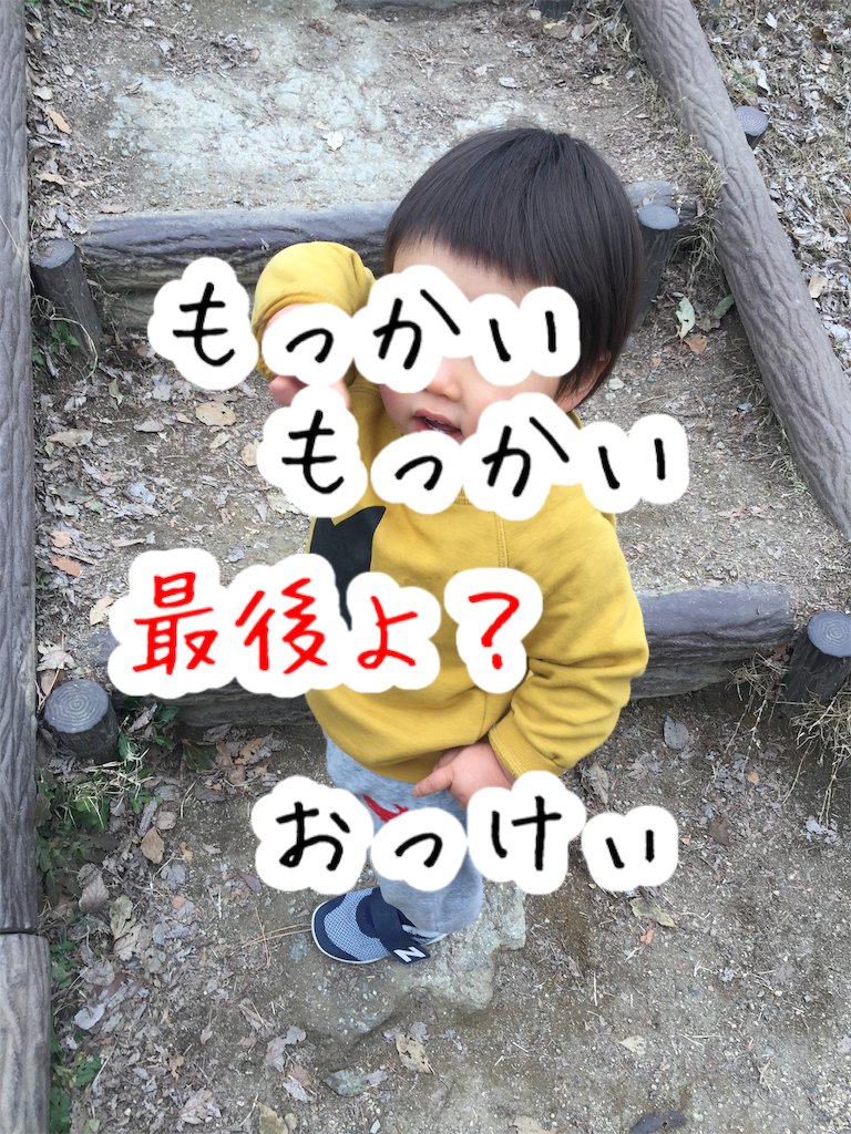 f:id:Alstroemeria:20190211190249p:image