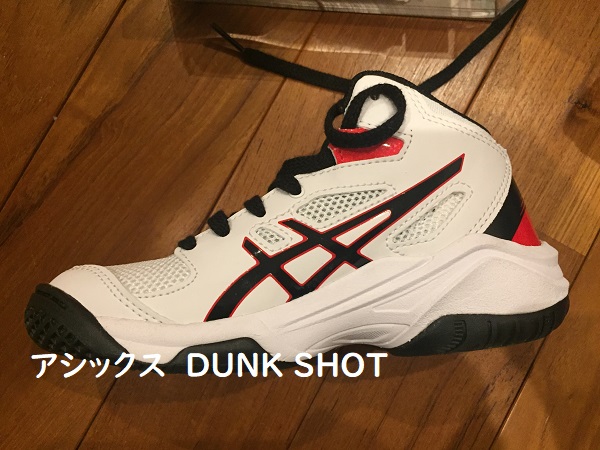 f:id:Alstroemeria:20190309215533j:plain