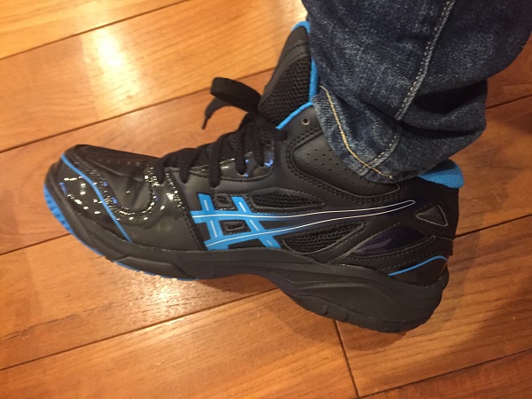 f:id:Alstroemeria:20190331210901j:plain