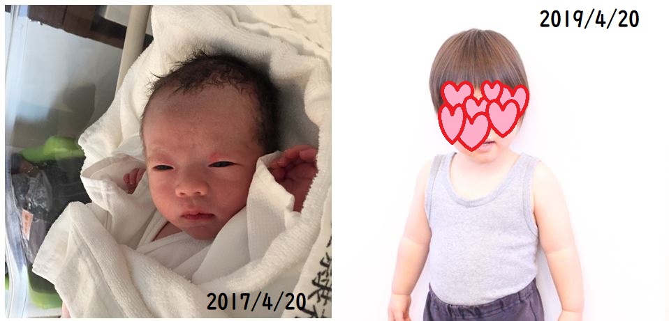 f:id:Alstroemeria:20190423135613j:plain