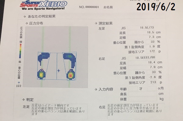 f:id:Alstroemeria:20190607192229j:plain