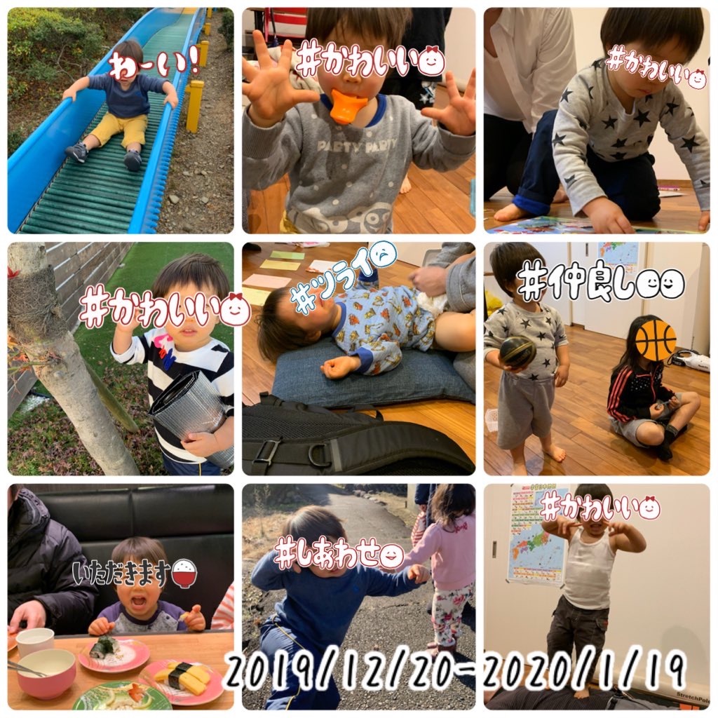 f:id:Alstroemeria:20200125085942j:image f:id:Alstroemeria:20200125085942j:image