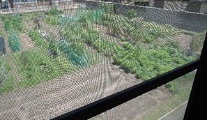 f:id:AmaHana:20180711105153j:plain