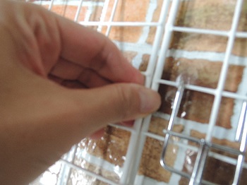 f:id:AmaHana:20181003132810j:plain