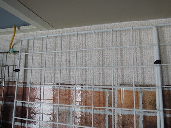 f:id:AmaHana:20181003133246j:plain