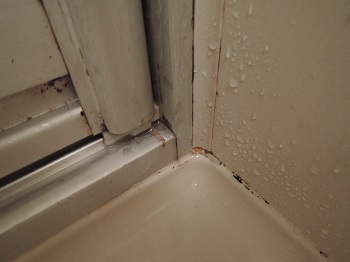 f:id:AmaHana:20181005140629j:plain f:id:AmaHana:20181005140629j:plain