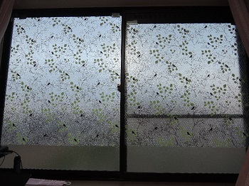 f:id:AmaHana:20181102201932j:plain f:id:AmaHana:20181102201932j:plain