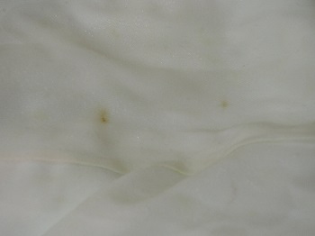 f:id:AmaHana:20181218132920j:plain f:id:AmaHana:20181218132920j:plain