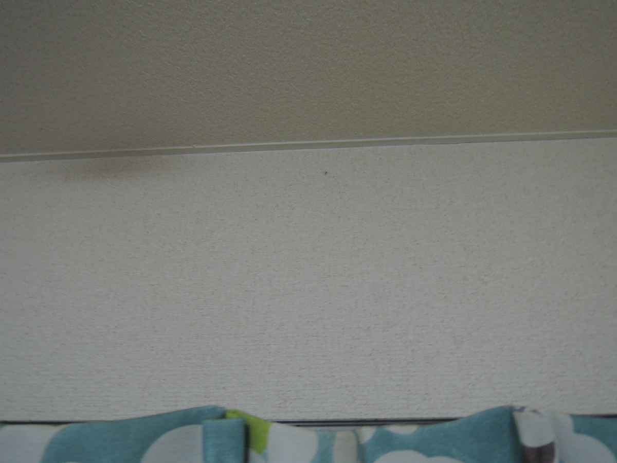 f:id:AmaHana:20201007235902j:plain
