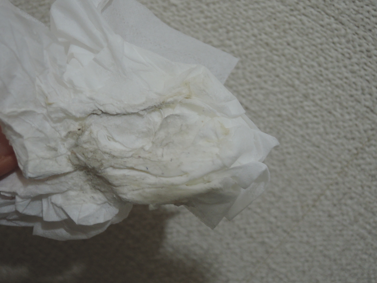 f:id:AmaHana:20201021235658j:plain f:id:AmaHana:20201021235658j:plain