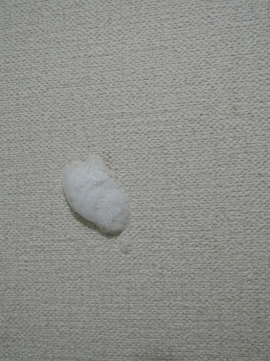 f:id:AmaHana:20201022000042j:plain f:id:AmaHana:20201022000042j:plain