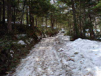 Ca360198 Ca360198