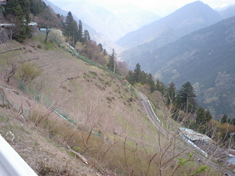 Ca360216 Ca360216