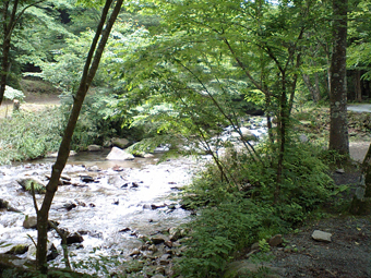 Ca360285 Ca360285